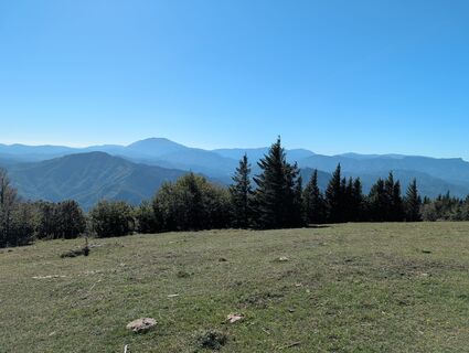 Photo de Mario Dohr le long du parcours
