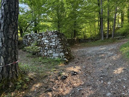 Photo de Herwig Winkler le long du parcours