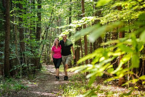 Unterwegs im Wald