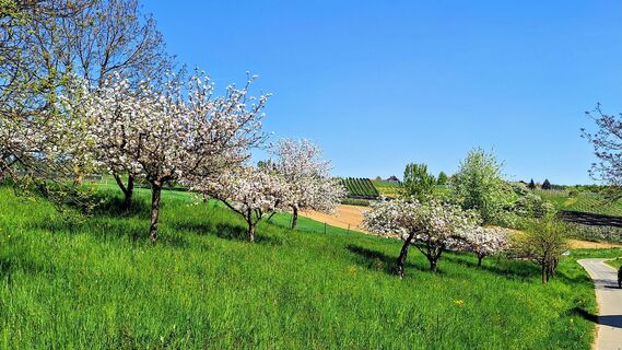 Foto de Susi Puhl a lo largo del recorrido
