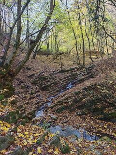 Foto från Katona Ferk Mariann under resans gång