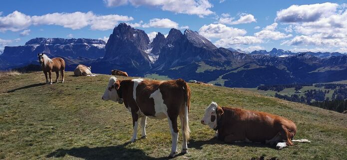 Foto von Thomas Sundheim entlang der Tour