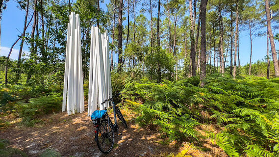 Tour de Gironde - Salle - Foret d'art