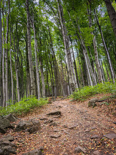 Photo de Bigjohn71 le long du parcours