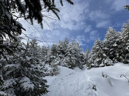 Fotografija s spletne strani Natur_erleben_dg na poti
