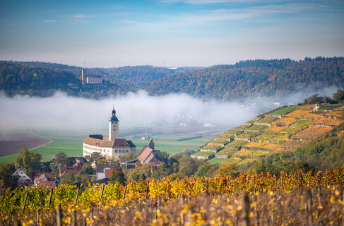 Schloss Horneck | Gundelsheim | HeilbronnerLand