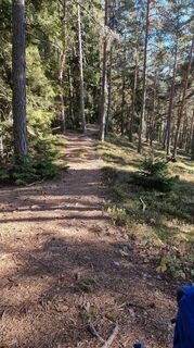 Foto de Rene Wippel a lo largo del recorrido