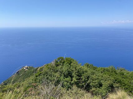 Fotografija s spletne strani David Amrein na poti