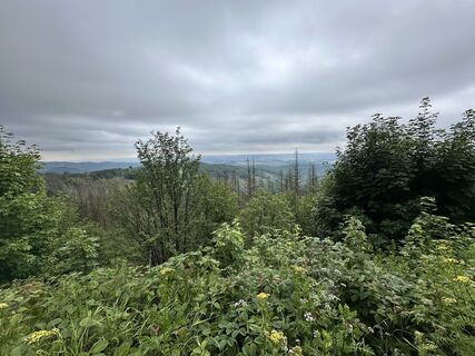 Foto von Sara B entlang der Tour