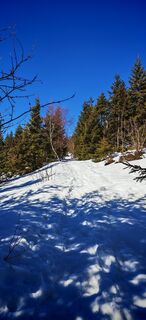 Fotografija s spletne strani ReginaSt na poti