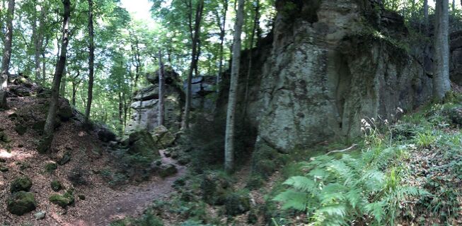 Photo de Hei.en.haar NL le long du parcours