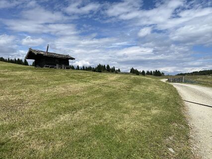 Fotografia z Stefan Otto na trase