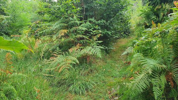 Trail nach Montegrino Valtravaglia