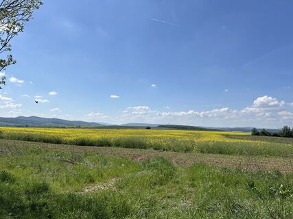 Photo from Reiner Diedrichs along the tour
