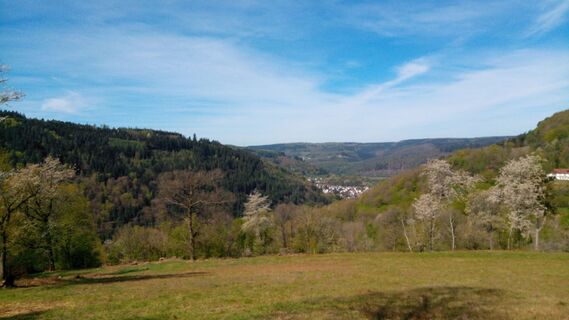 Aussicht vom Schollerbuckel
