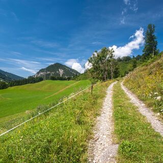 Schöne Wiesenwege entlang der Abergrunde
