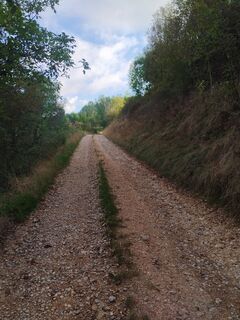 Foto de Ab Zaza a lo largo del recorrido