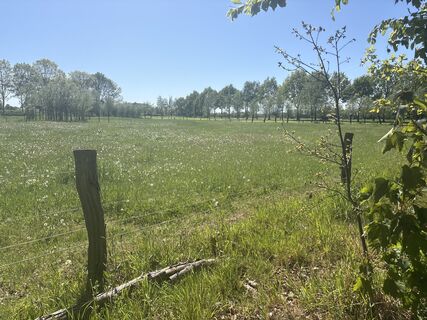 Foto von Melle Koletzki entlang der Tour