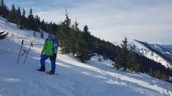 Aufstieg auf den Hüttenkogel