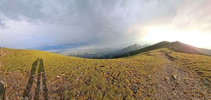 Foto von Mangolein entlang der Tour