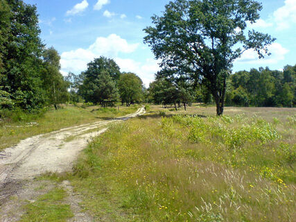 Wege durch die Wahner Heide