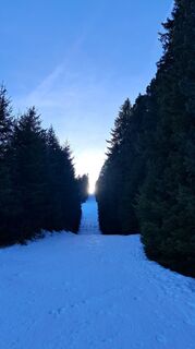 Foto de Urban Wille a lo largo del recorrido