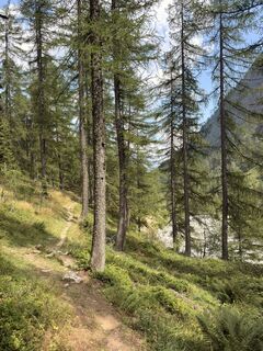 Foto von Koen De Wit entlang der Tour
