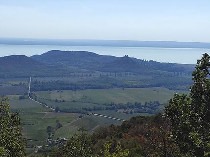 Photo de Làszló Visi le long du parcours
