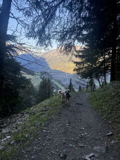 Fotografija s spletne strani Sophie van Pelt na poti