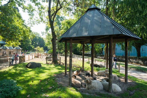 Rosenfelspark