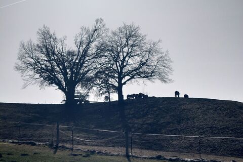 Foto de Guenther Hahn a lo largo del recorrido