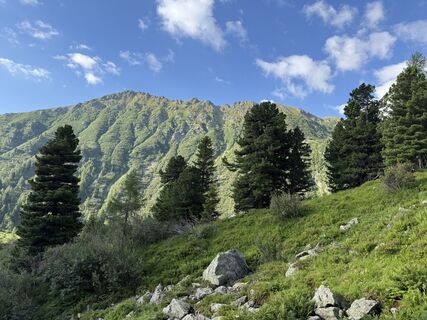 Fotografija s spletne strani Gabriele Egger na poti