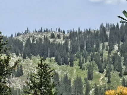 Foto von Altmann Andreas entlang der Tour