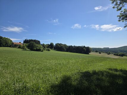 Fotografie z D.V. na trase