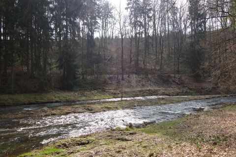 Die Mulde bei Kleinvoigtsberg. Hinter dem Ufer ist der Verlauf des Aufschlaggrabens der Grube "Alte Hoffnung Gottes" zu erkennen.