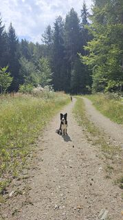 Foto von Noemi entlang der Tour