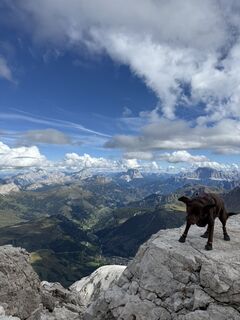 Foto da Pawel Meus lungo il tour