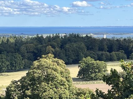 Foto da Andreas Krause lungo il tour