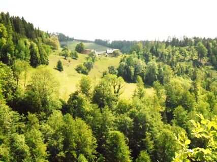 Aussicht auf die Landschaft in Pibeegg