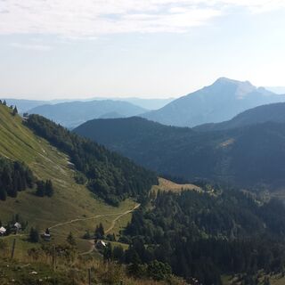 Faistenauer Schafberg (Grasbewachsener Südhang)