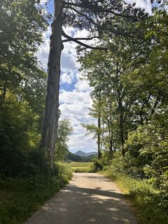 Foto von Mónika Stipits-Várszegi entlang der Tour