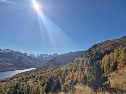 Fotografija s spletne strani Rahel ... na poti