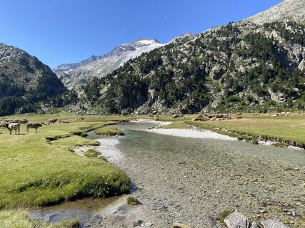 Fotografia z Gisela Walz na trase