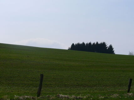 Zemljevid