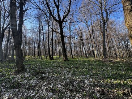 Foto von László Horváth 8 entlang der Tour