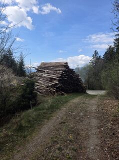 Foto de Sebastian Mucha a lo largo del recorrido