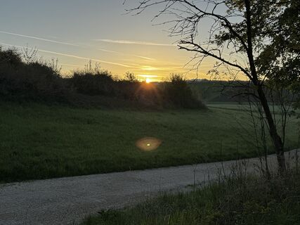 Foto de Schaali a lo largo del recorrido