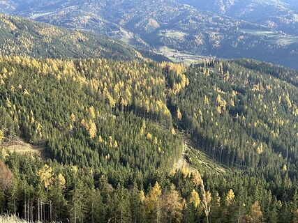 Fotografia z Roberto En na trase