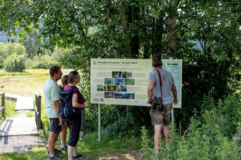 Informationstafel Hörfeld Moor
