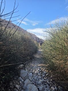 Photo de Darija Forgač le long du parcours